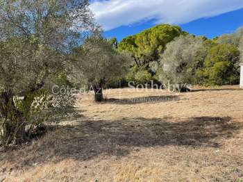 Vente Terrain 35233 m&sup2;Mougins