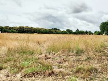 Vente de terrain Mouilleron-le-Captif 85