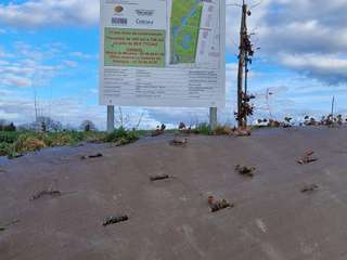 Vente de terrain