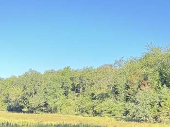 Vente Terrain 69661 m&sup2;Moulins-sur-Tardoire
