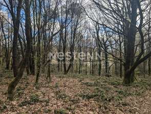 Vente Terrain 24038 m&sup2;Moustoir-Ac