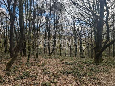 Vente de terrain Moustoir-Ac 56