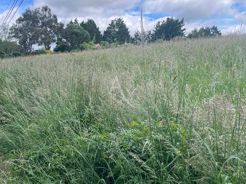 Vente de terrain