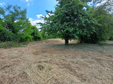 Vente de terrain