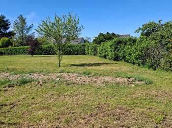 Vente de terrain Mozé-sur-Louet 49
