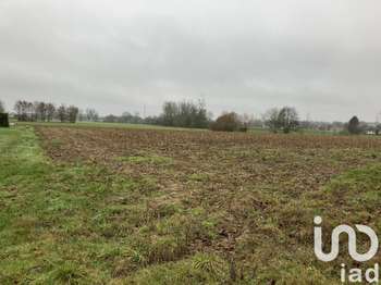 Vente Terrain 654 m&sup2;Mulsanne