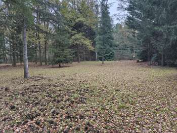Vente Terrain 7659 m&sup2;Mulsanne