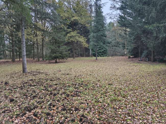 Terrain 7659 m² · à Mulsanne · 7 659 m² · 46 000 €