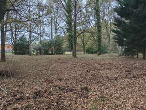 Vente Terrain 7659 m&sup2;Mulsanne