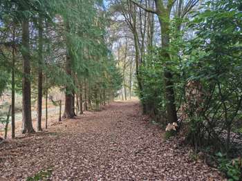 Vente Terrain 7659 m&sup2;Mulsanne