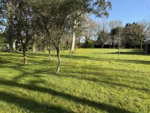 Vente Terrain 3999 m&sup2;Muzillac