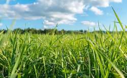 Photo Vente de terrain Muzillac