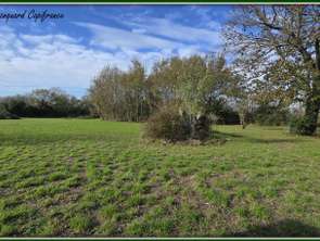 Vente Terrain 3741 m&sup2;Nachamps