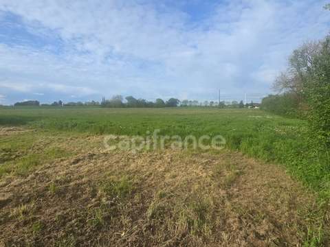 Vente de terrain Nachamps 17