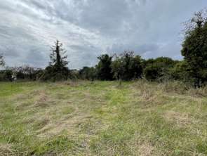 Vente Terrain 631 m&sup2;Nalliers