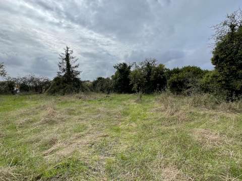 Vente de terrain Nalliers 85