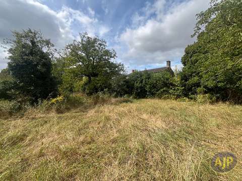 Vente de terrain Nalliers 85