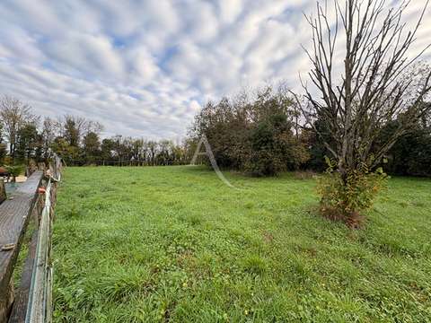 Vente de terrain Nalliers 85