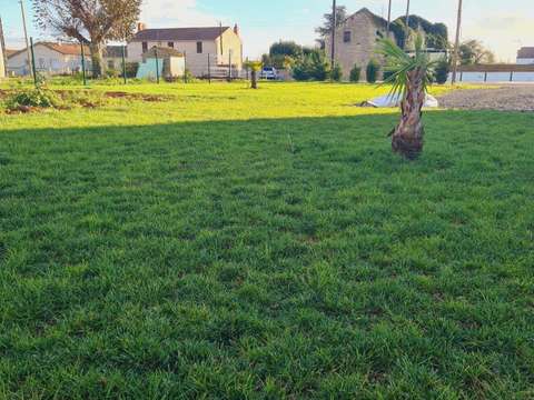 Vente de terrain