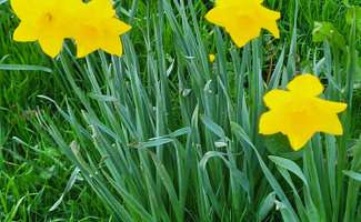 Photo Vente de terrain Nantes