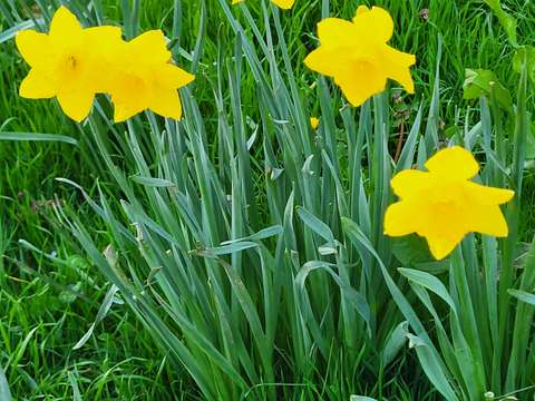 Vente de terrain Nantes 44