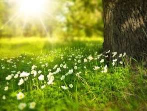 Vente Terrain 681 m&sup2;Nanteuil