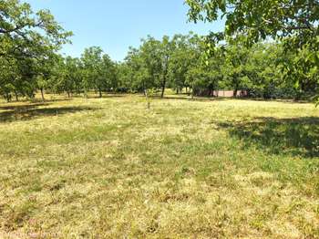 Photo Vente de terrain Nantheuil