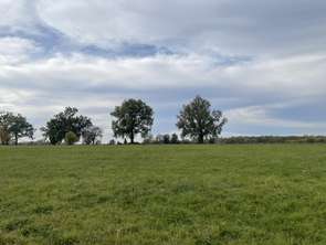 Vente Terrain 1954 m&sup2;Nègrepelisse