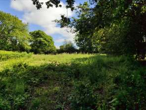 Vente Terrain 2040 m&sup2;Neufmesnil