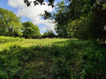 Photo Vente de terrain Neufmesnil