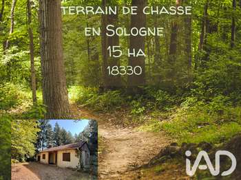 Vente Terrain 153854 m&sup2;Neuvy-sur-Barangeon