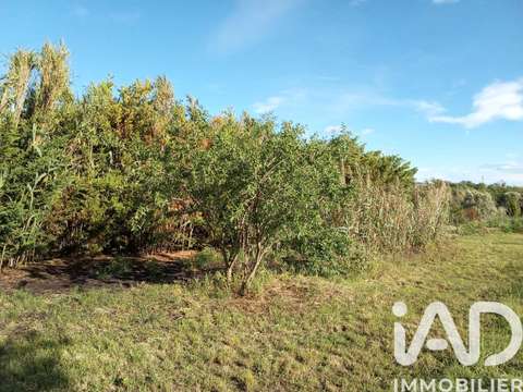 Vente de terrain