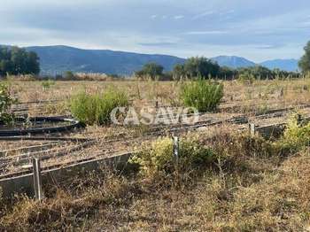 Vente Terrain 6900 m&sup2;Nice