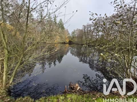 Vente de terrain Nieul-le-Dolent 85