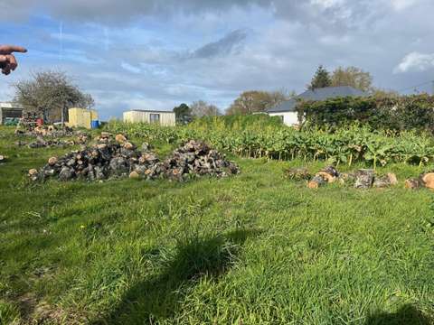 Vente de terrain Nivillac 56