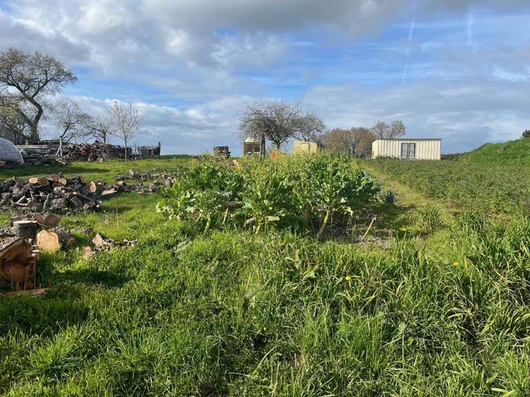 Vente de terrain