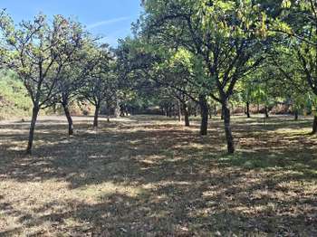 Photo Vente de terrain Nivillac