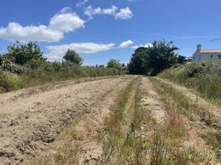 Vente de terrain