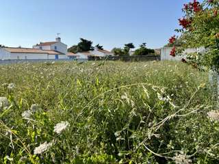 Vente de terrain