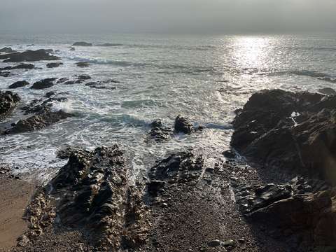 Vente de terrain Noirmoutier-en-l'Île 85