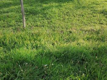 Vente Terrain 359 m&sup2;Nostang
