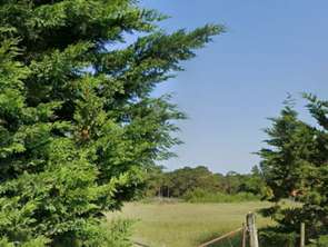 Vente Terrain 436 m&sup2;Notre-Dame-de-Monts