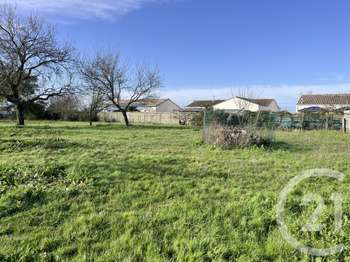 Vente de terrain