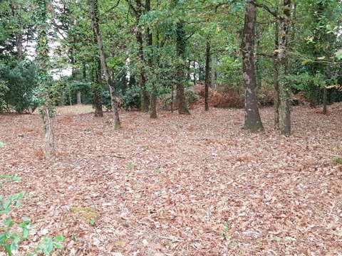 Vente de terrain Notre-Dame-de-Riez 85