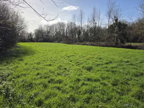 Vente de terrain