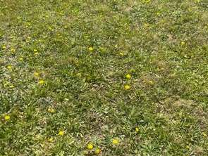 Vente Terrain 985 m&sup2;Noyal-Pontivy