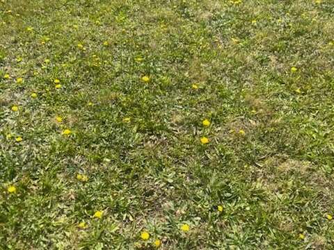 Vente de terrain Noyal-Pontivy 56