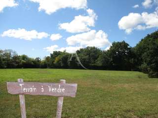 Vente de terrain