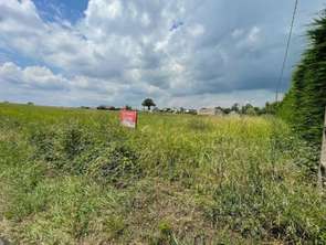 Vente Terrain 8780 m&sup2;Noyen-sur-Sarthe
