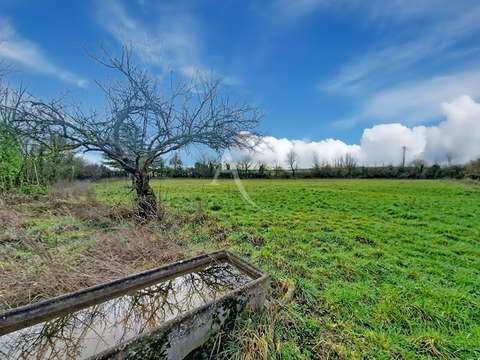Vente de terrain Nueil-sur-Layon 49